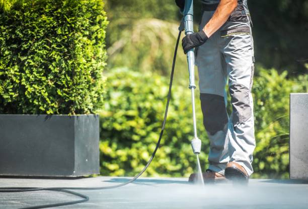 Best Sidewalk and Walkway Cleaning  in New Hope, PA