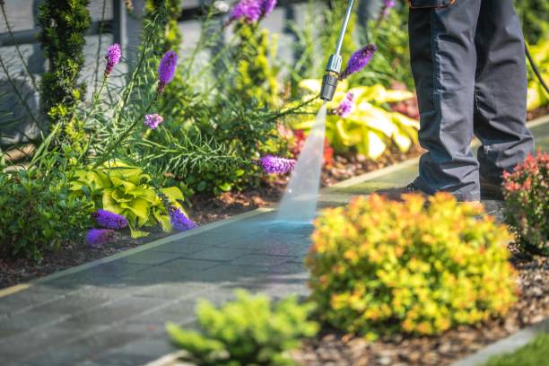 Best Restaurant Pressure Washing  in New Hope, PA